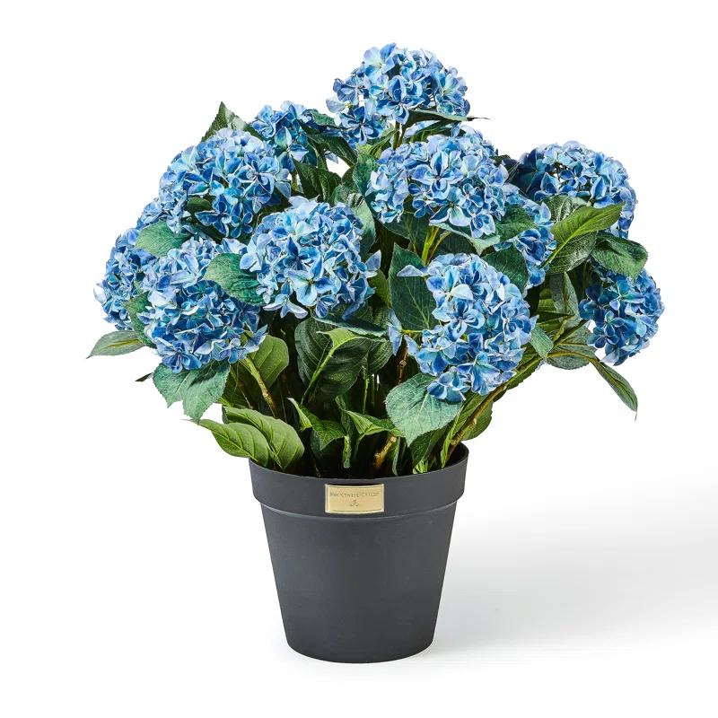 コレクション Hydrangea4937 コレクション Hydrangea4937 コレクション Hydrangea4937